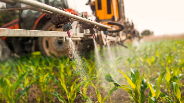 Best Ant Control Services  in Mira Monte, CA